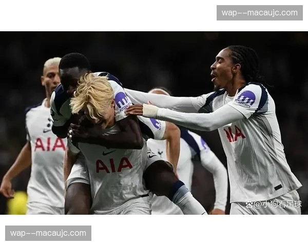 热刺防守球员年龄结构不合理 经验丰富的老将与年轻球员缺乏默契