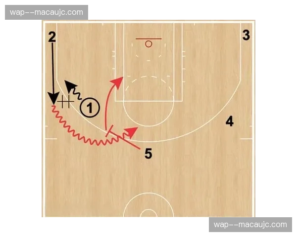 火箭申京高位策应核心作用 失误率控制与传球路线选择需优化